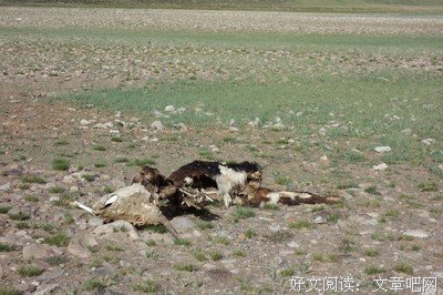 “关我屁事”原则真的能减少烦恼吗？