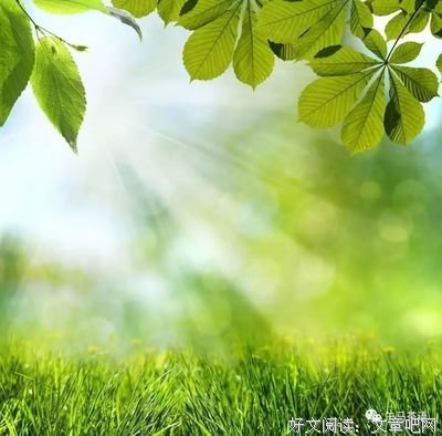 新的一天，带上阳光和微笑