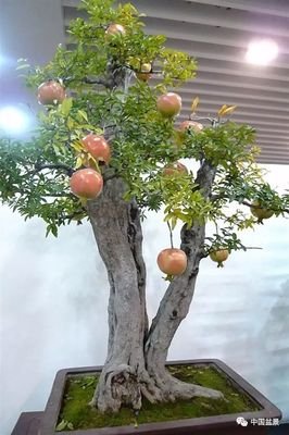 不懂得感恩怎会幸福？