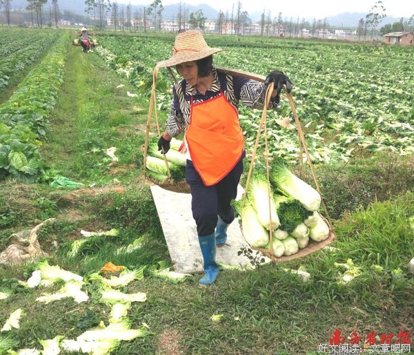 66岁母亲&quot;白菜价&quot;买回原价七八千一斤的海参，