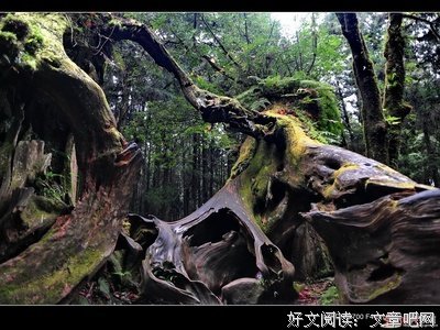 15条关于朱延平的经典语句