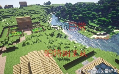 关于阿毛的格言