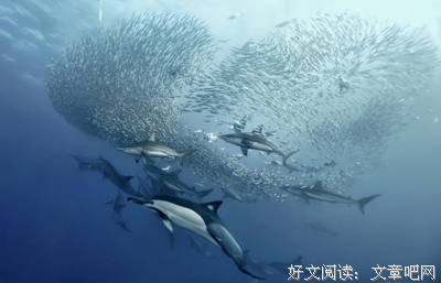 《给孩子的科幻故事》读后感10篇