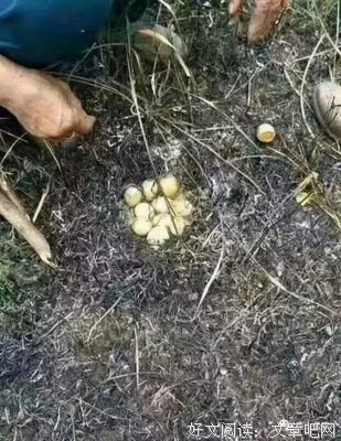 母爱（深度暖文）