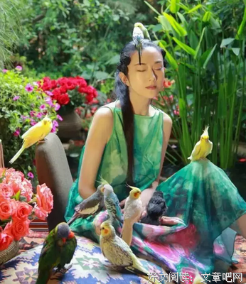 老了，守一墙花开。（太美了）