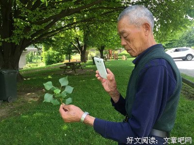 他把70岁患癌父亲“骗”到国外，从14000英尺高空飞跃而下，奇迹发