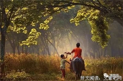 善良终有好报，坚持必有收获！