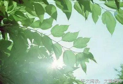 治愈优美的句子