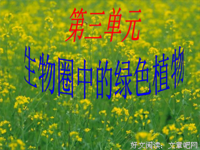关于怒发冲冠的语句