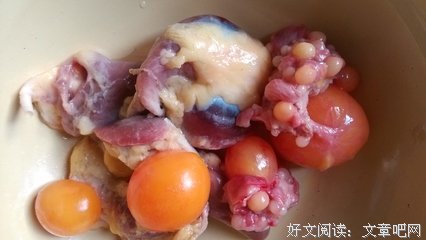 关于杀鸡取卵的名句摘抄