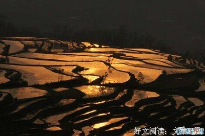 易家扬的名言名句