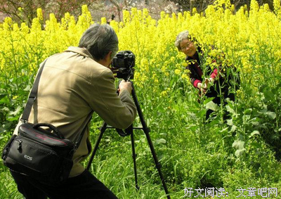 《当你老了》经典名句