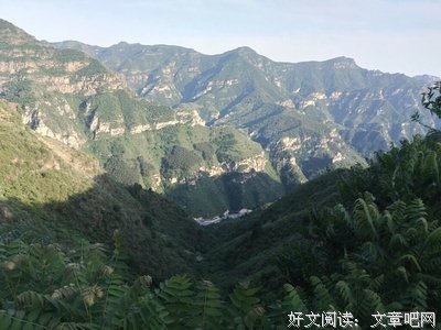 想多了，心就乱了