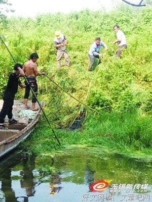 原来“洋泾浜”真的是条河浜！