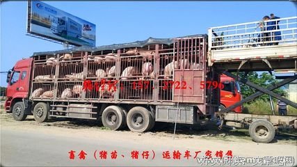 正时了现物将句子大全