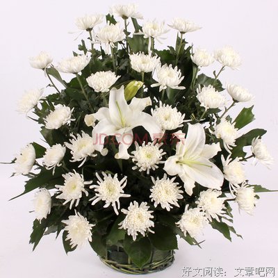 关于长短句的优美句子