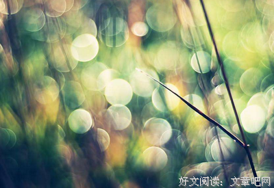 小张子优美的句子