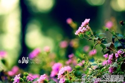 愿。。。句子大全