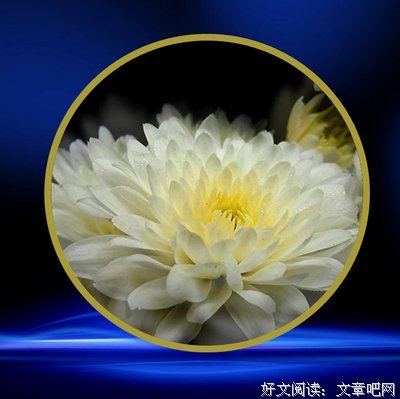 15条关于明志的经典语句