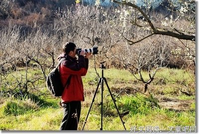 《流入山谷》的影评10篇