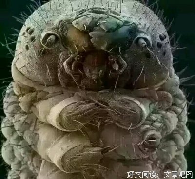《上海恋香》经典观后感10篇