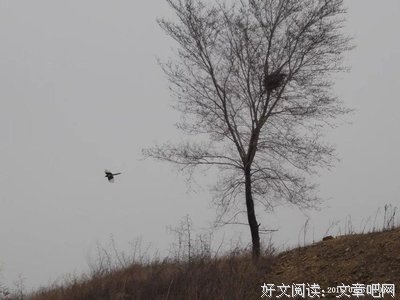 《你迟到了许多年》读后感精选10篇