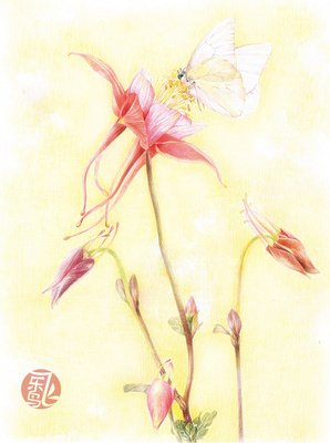 莳花读后感精选10篇