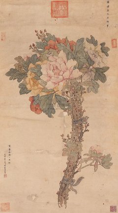 《慈禧传》读后感精选10篇