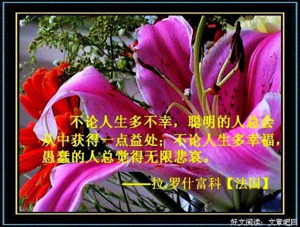 我的感悟经典名句