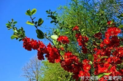 关于沟通的优美句子