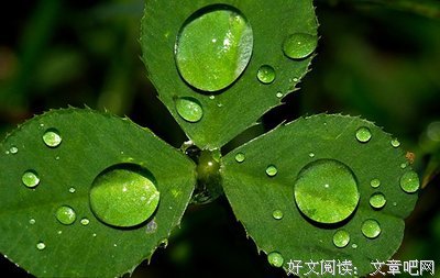 关于我的的优美句子