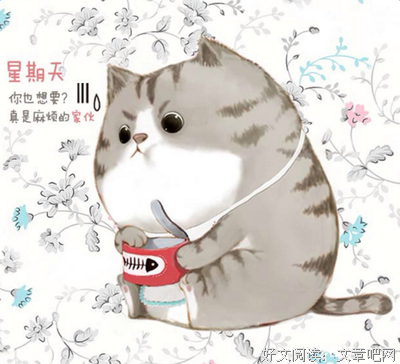 关于摘抄的优美句子