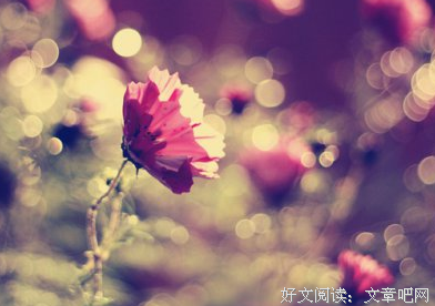 发内起个说，这他了来没顾南句子大全