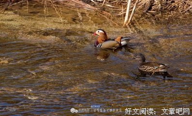关于走火入魔的格言