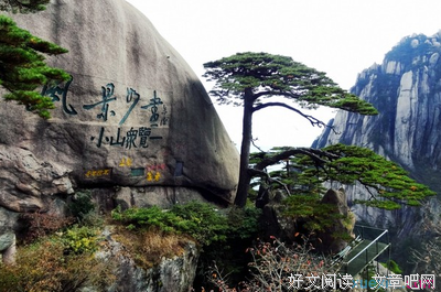 关于便然的语句