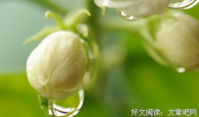 夜读：撑不下去的时候，看看这三句话
