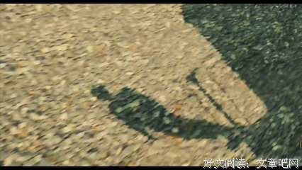 《雪行者》影评精选10篇