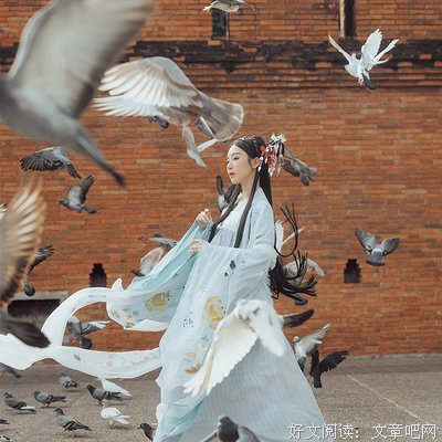 《鸾音》的读后感10篇