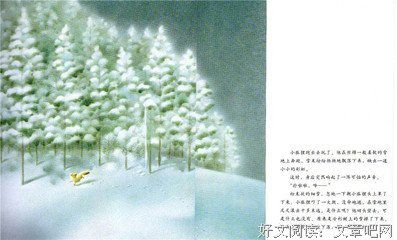 《柔软》读后感精选10篇