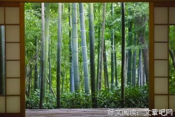 人，越干净越高贵