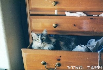 谈 : 恋爱的优美句子