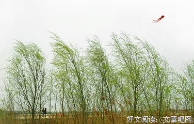 生都个觉考作文名言素材