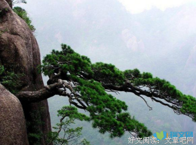 绝七的句子
