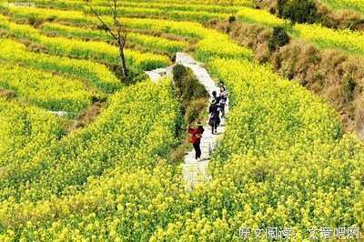 关于轻佻的语句