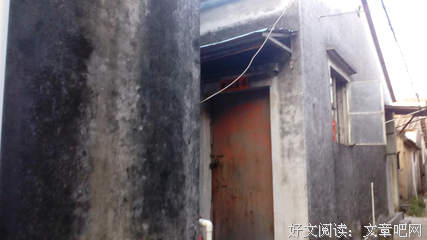 杨志锋的名言