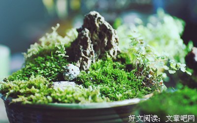朋友圈最美最全早上好正能量问候语