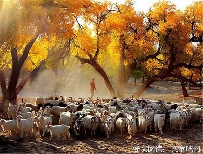 白露 | 秋渐凉，祝健康