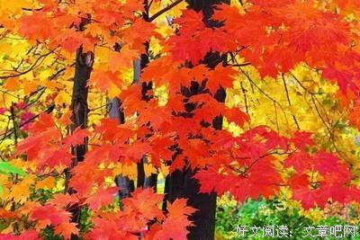 今日白露，祝你健康！2018最全白露养生攻略，赶快收藏吧！