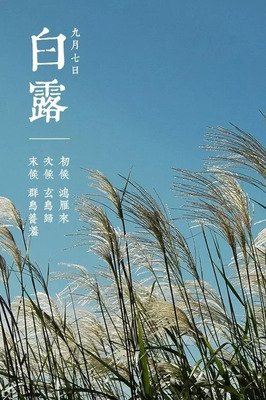 今日白露，西风凉，白露降，你必须知道的养生知识！