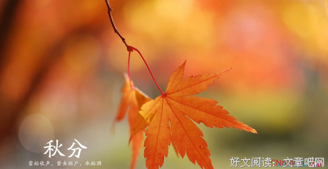 关于我和走声没自后看只差一个你的优美句子